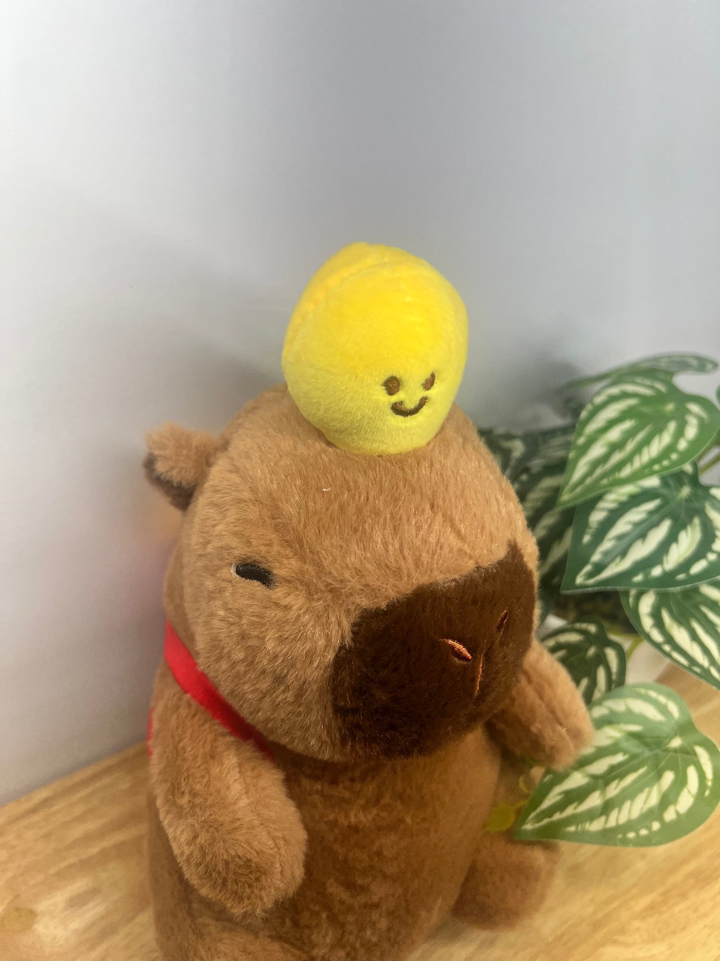 Capybara with red backpack