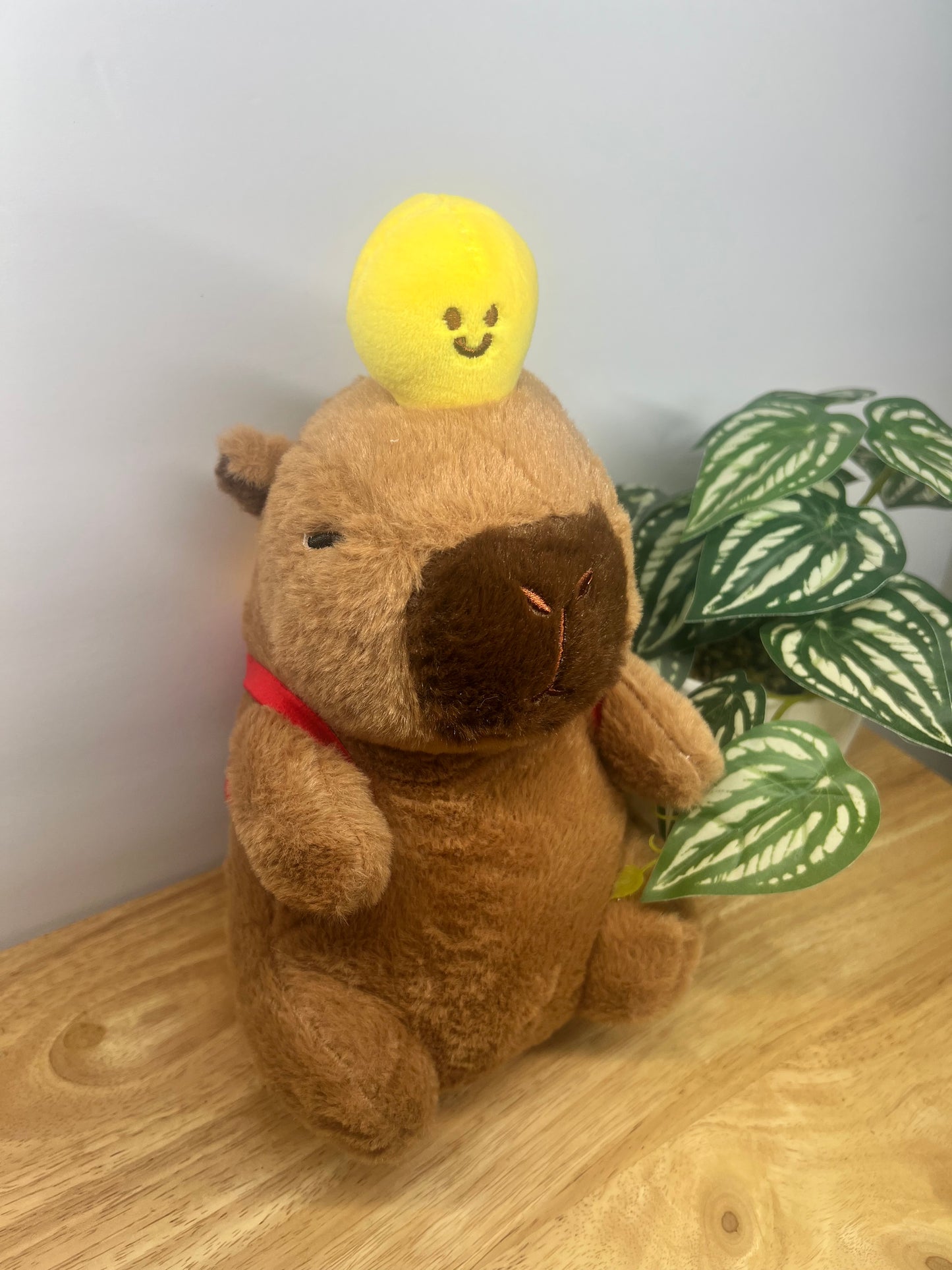 Capybara with red backpack