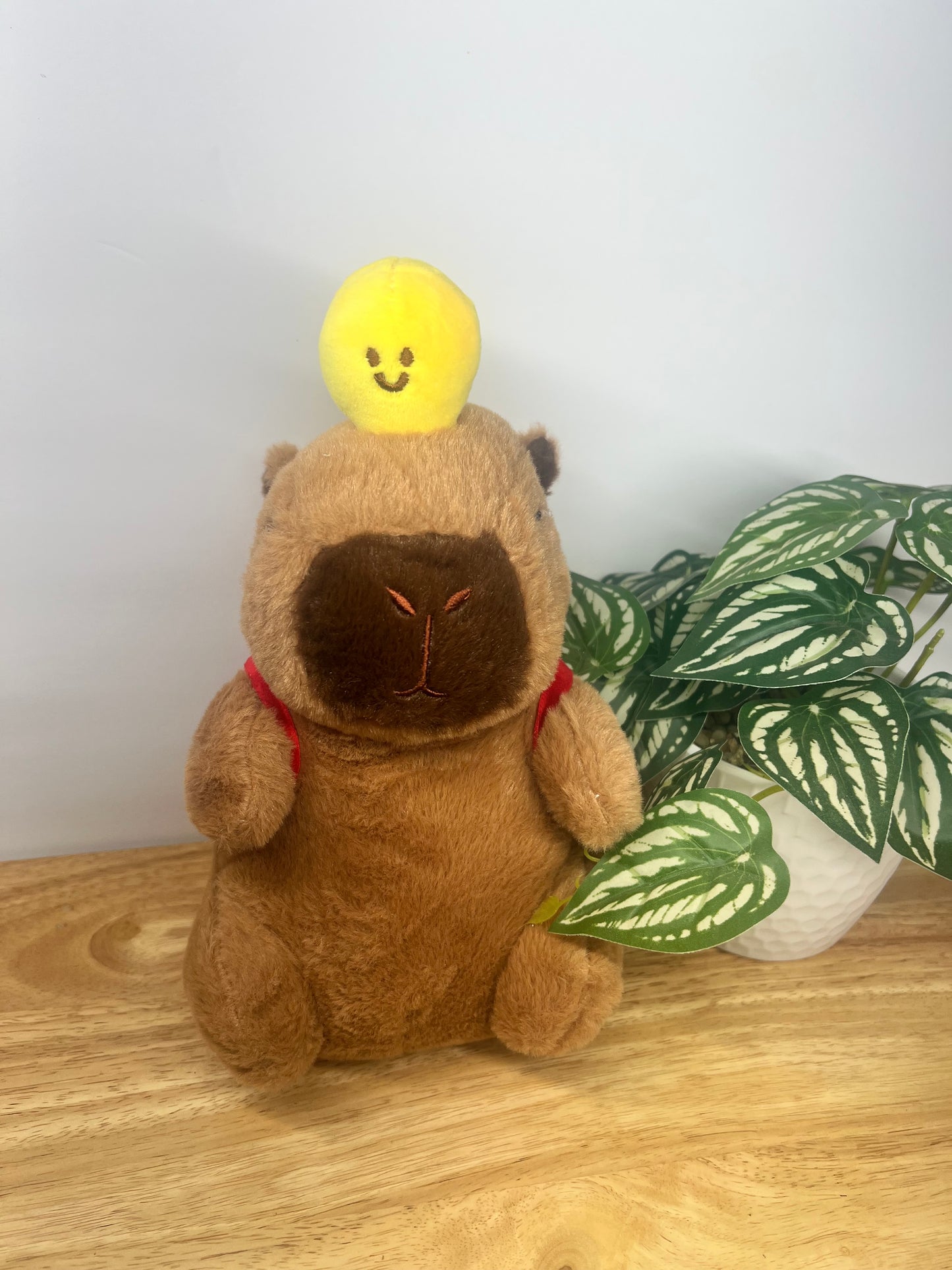 Capybara with red backpack