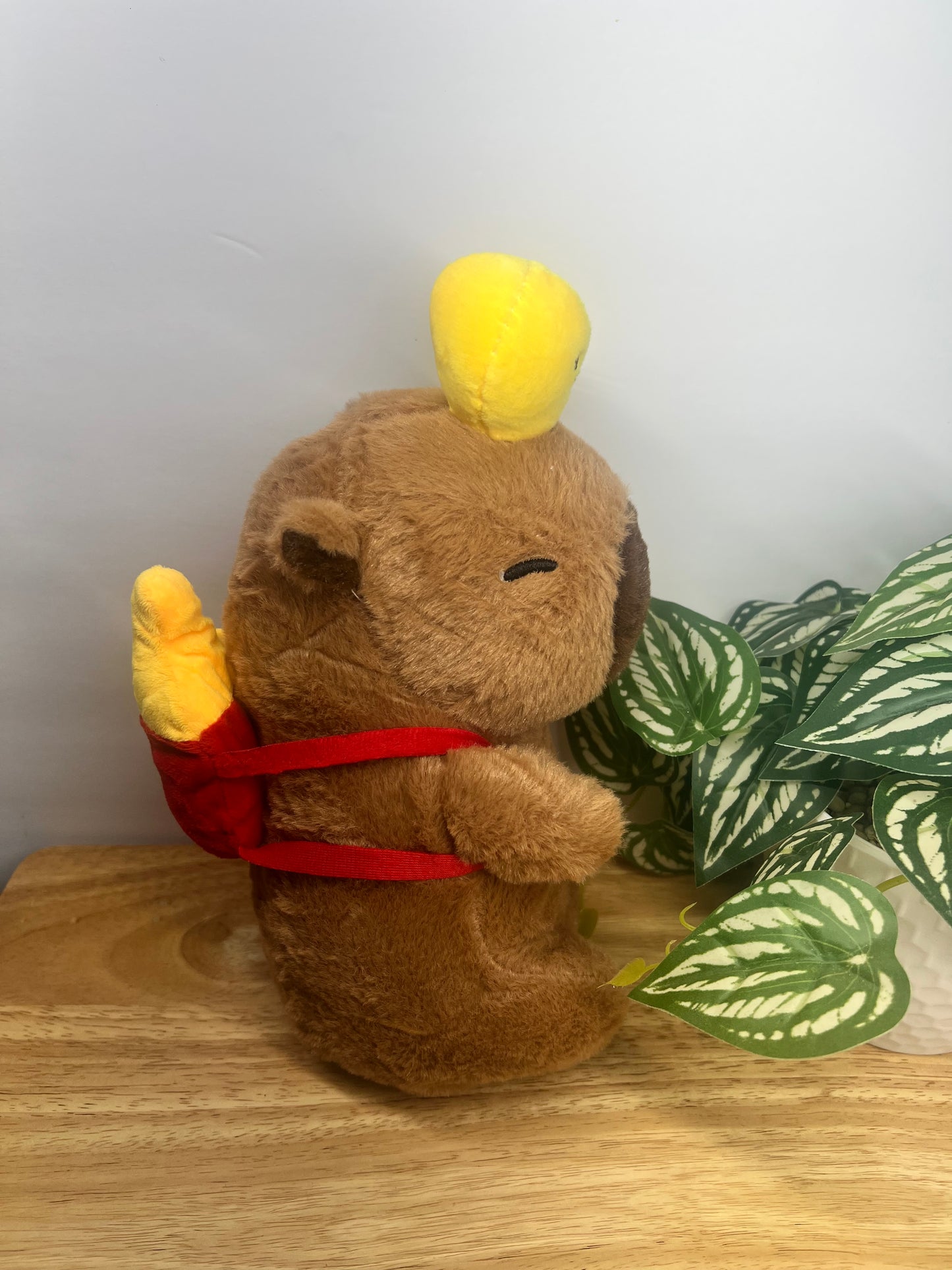 Capybara with red backpack